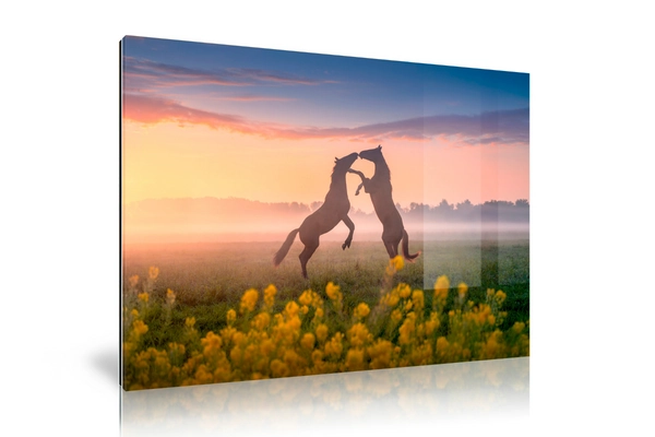 2024_07_30_090110_Acrylglaskunstwerkenmetfotopapier|Picfeewanddecoratie.webp